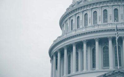 The Difference between Legal Information & Advice